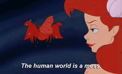Little Mermaid The Human World Is Mess GIF