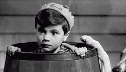 Little Rascals Hiding Inside A Bucket  GIF