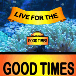 Live For The  Good Times Underwater Loop GIF