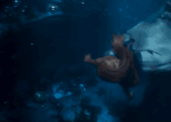 Live Little Mermaid Ariel GIF