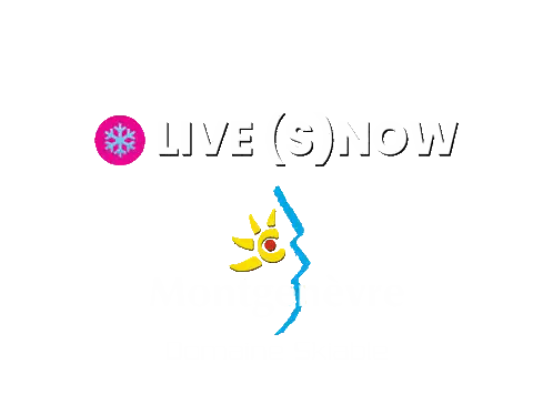 Live Snow Logo With Snowflake And Sun Sticker