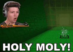 Live Streamer Boy Holy Moly GIF
