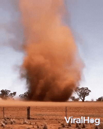 Lived It Loved It Quote GIF