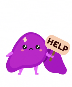 Liver Asking For Help To Circulatory System GIF