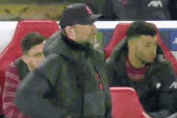 Liverpool Fc Jürgen Klopp Raised Hands GIF