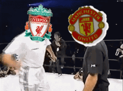 Liverpool Fc Punching Other Logos GIF