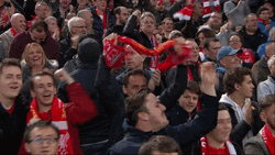 Liverpool Fc Scarves GIF