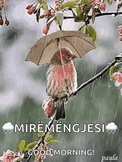 Living For Validation GIF
