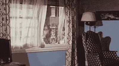 Living Room With Couch Chair Lamp And Window GIF