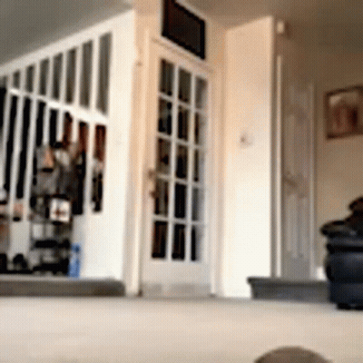 Living Room With French Door And Staircase GIF