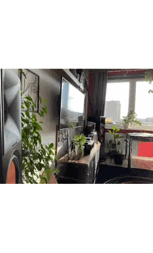 Living Room With TV And Plants Sticker