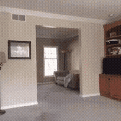 Living Room With Wall Picture And Floor Lamp GIF