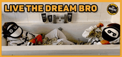 Living The Dream Bath Tub GIF