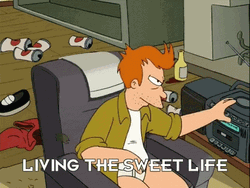 Living The Dream Futurama GIF