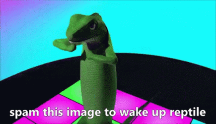 Lizard Dancing On A Dance Floor GIF