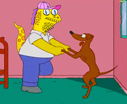 Lizard Dancing With A Dog GIF