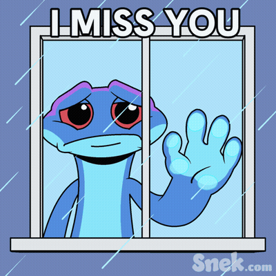 Lizard Looking Out Window Saying I Miss You GIF