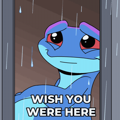 Lizard Looking Out Window With Wish You Were Here GIF