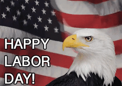 Lizard Lying In Hammock Holding American Flag And Pizza GIF
