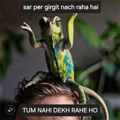 Lizard On Man's Head Saying Tum Nahi Dekh Rahe Ho GIF