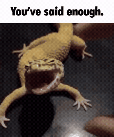 Lizard Saying You've Said Enough GIF