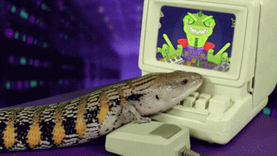 Lizard Sitting On Keyboard GIF