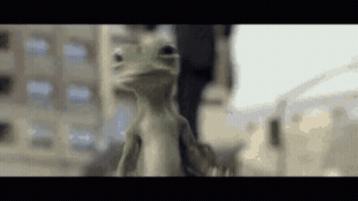 Lizard Standing In Front Of A Building GIF