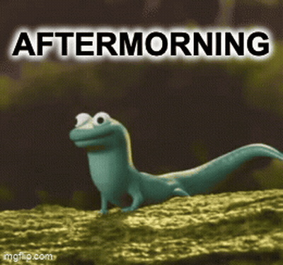 Lizard Standing On Rock Aftermorning GIF