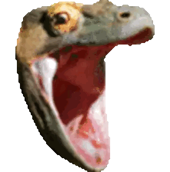 Lizard With Mouth Wide Open Sticker