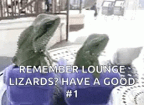 Lizards Sitting On Top Of Purple Box GIF