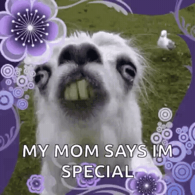 Llama Close Up With Purple Flowers GIF