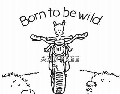 Llama On Motorcycle Born To Be Wild And Free GIF