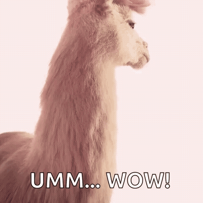 Llama Saying Umm Wow GIF