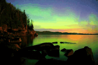 Llamarama Light Codes GIF