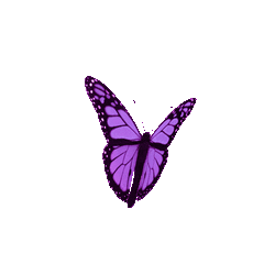 Loading Slow Butterfly Purple Aesthetic GIF