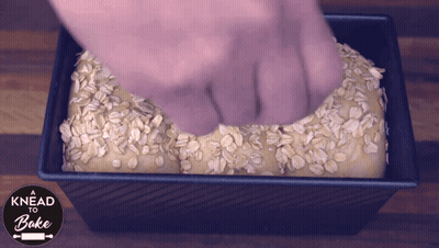 Loaf Of Bread In Loaf Pan With Oats GIF