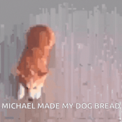 Loaf Of Bread Saying Michael Made My Dog Bread GIF