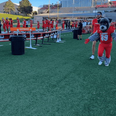 Lobos Football Mascot On Field GIF