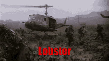 Lobster GIF