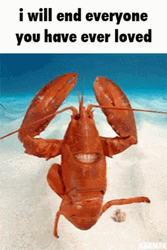 Lobster Will End Everyone You Have Ever Loved GIF