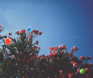 Lofi Girl Lany Album Art GIF