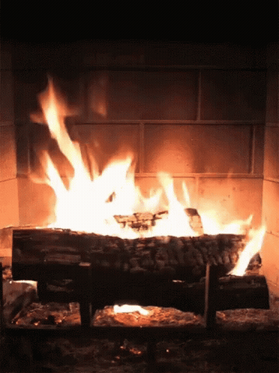 Log Burning In Brick Fireplace GIF