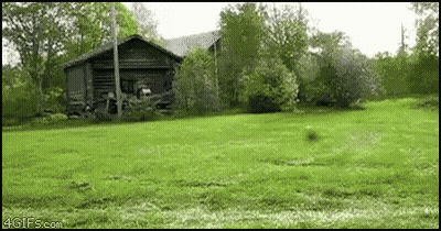 Log Cabin In Lush Green Field GIF