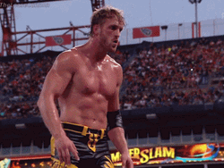 Logan Paul Wwe Jump To His Opponent GIF