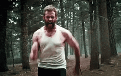 Logan Running In The Middle Of The Forest GIF