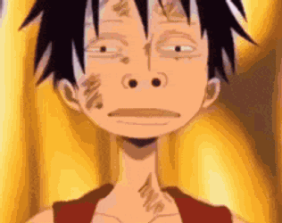 Lol One Piece GIF