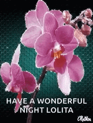 Lolita Flower Design GIF