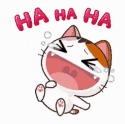 Lolol GIF