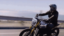 Lone Hog Rider In The Bridge GIF