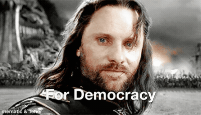 Long Hair Beard Man Saying For Democracy GIF